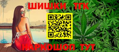 хмурый Кингисепп
