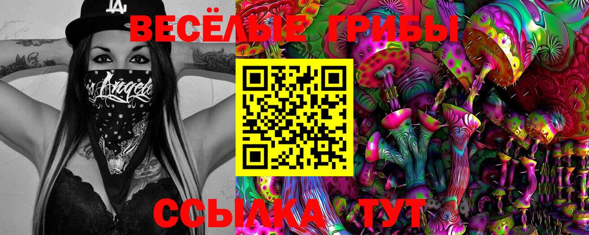 Кулебаки  что такое   Вход с VPN  Галлюциногенные грибы Cubensis 