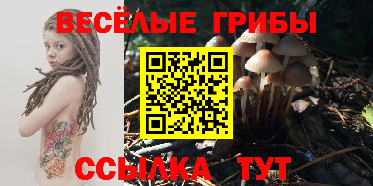 Псилоцибиновые грибы GOLDEN TEACHER Кулебаки